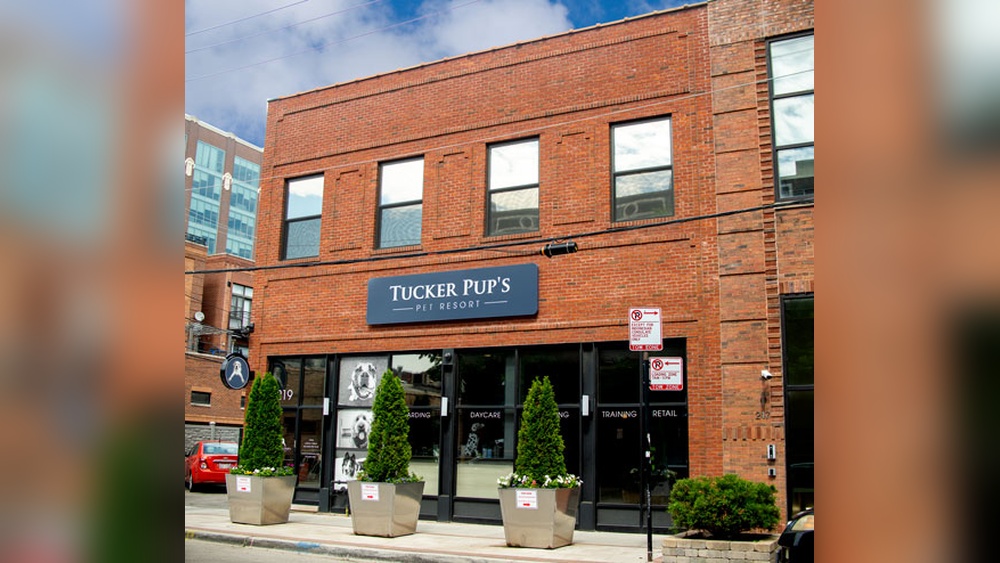Best Dog Boarding in Chicago