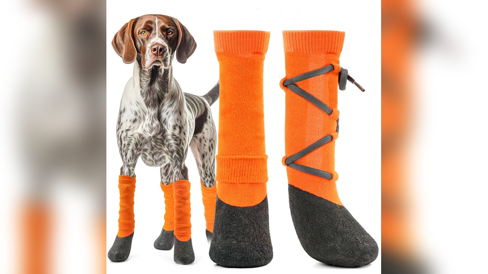 Best Dog Boots for Large Dogs