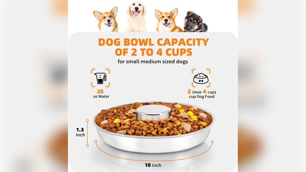 Best Dog Bowls for Cane Corso