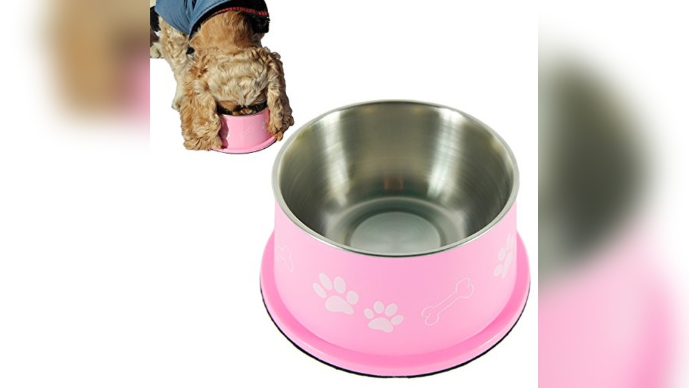 Best Dog Bowls for Cavalier King Charles Spaniels