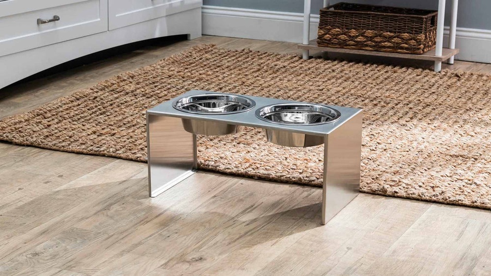 Best Dog Bowls With Stand