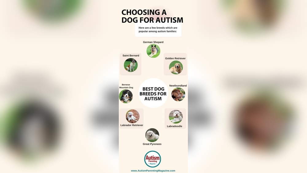 Best Dog Breeds for Kids With Autism: Loving, Loyal Companions