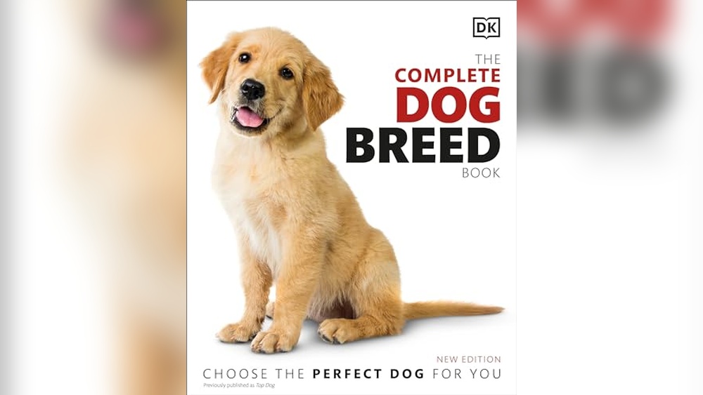 Best Dog Breeds for New Owners