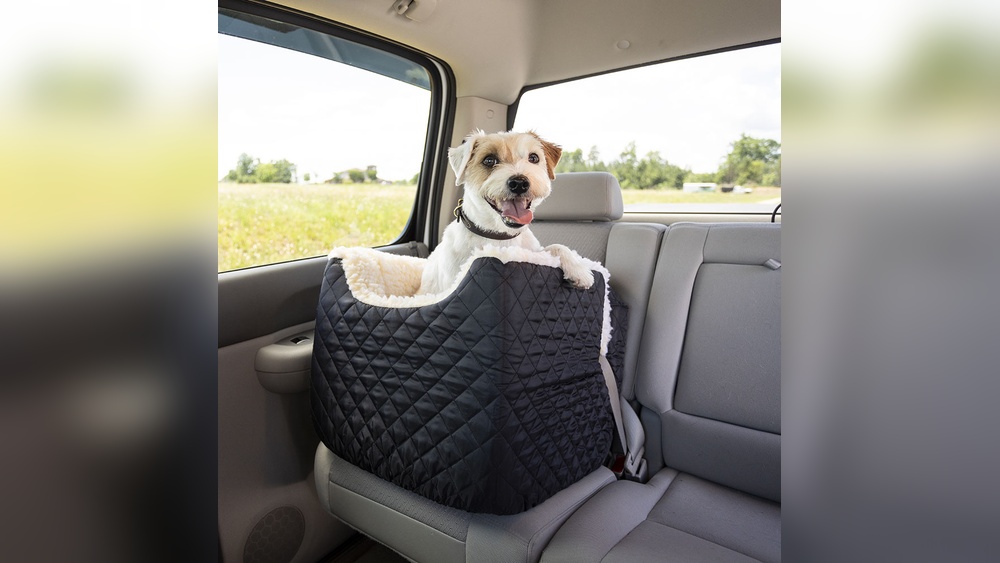 Best Dog Car Seat for Anxious Dogs
