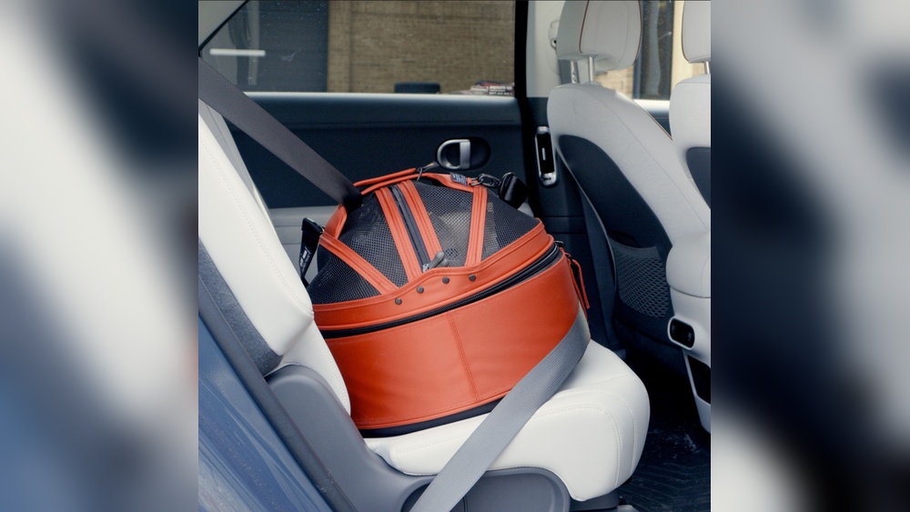 Best Dog Car Seat for Long Trips