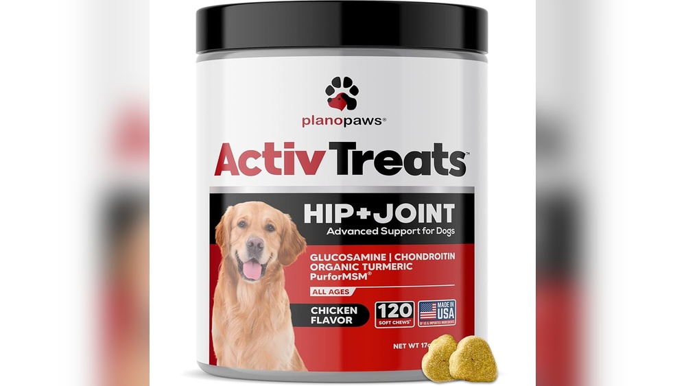 Best Dog Chews for Hip And Joint