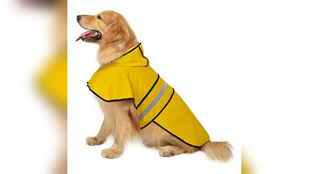 Best Dog Coats for Golden Retrievers