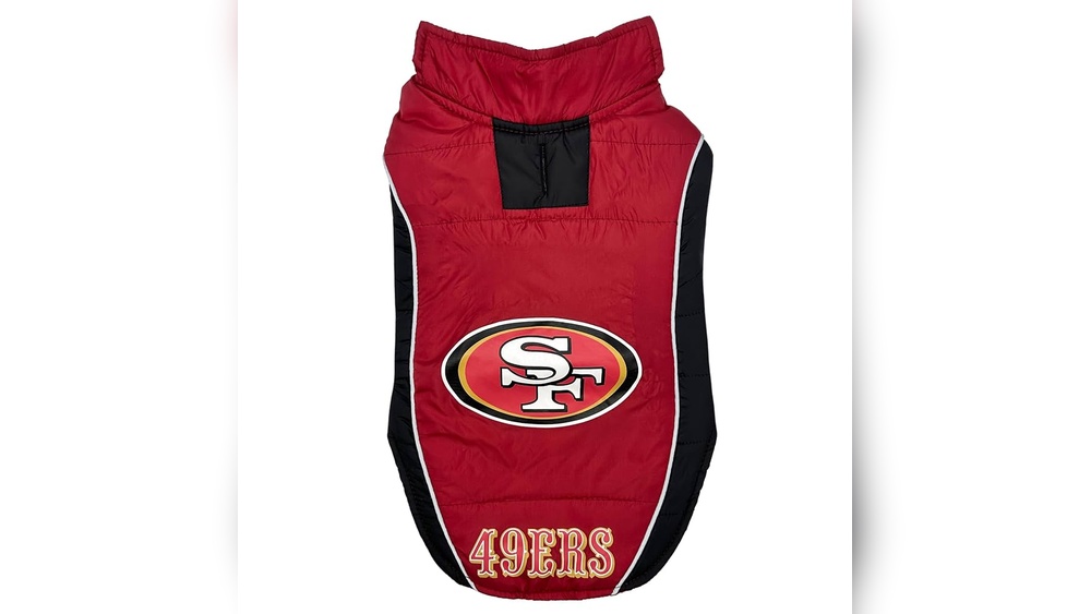 Best Dog Coats for Large Dogs