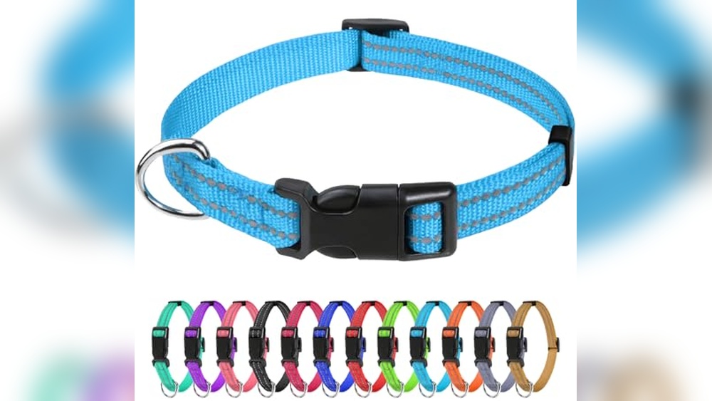Best Dog Collar for Puppies