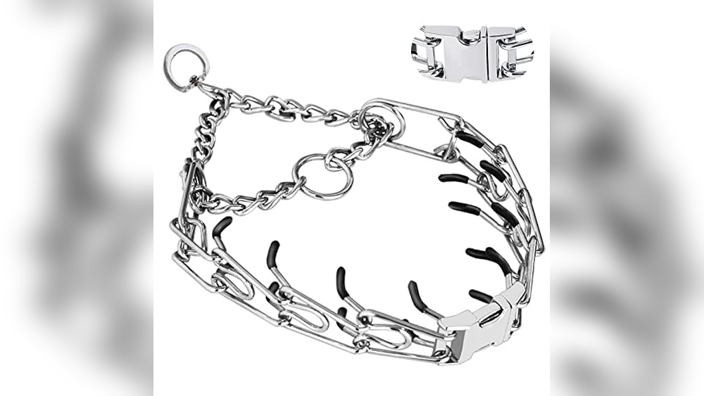 Best Dog Collars for Dogs That Pull