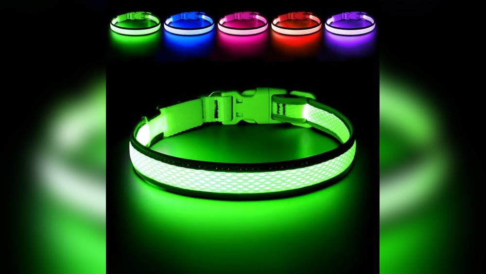 Best Dog Collars for Night Time