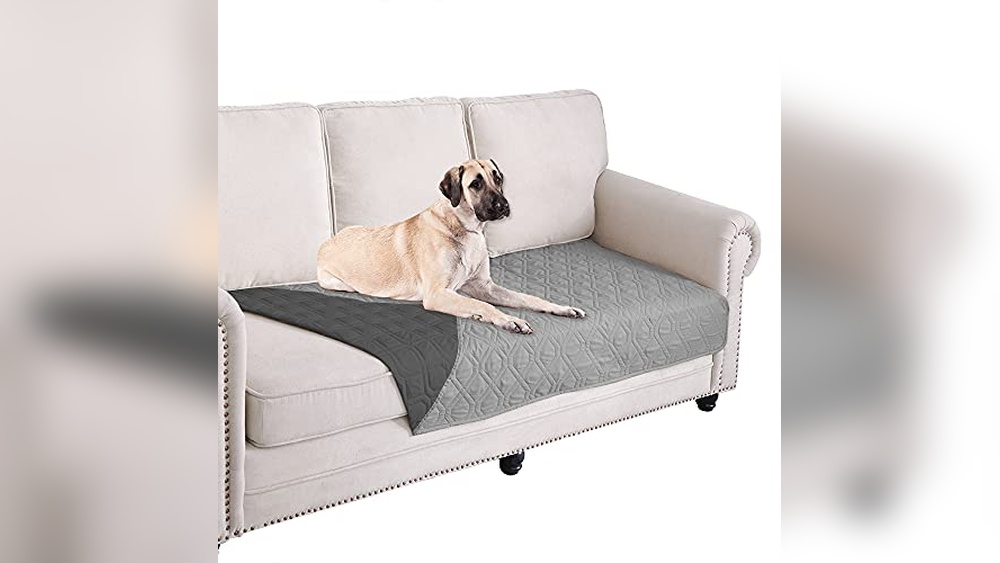 Best Dog Covers for Couches