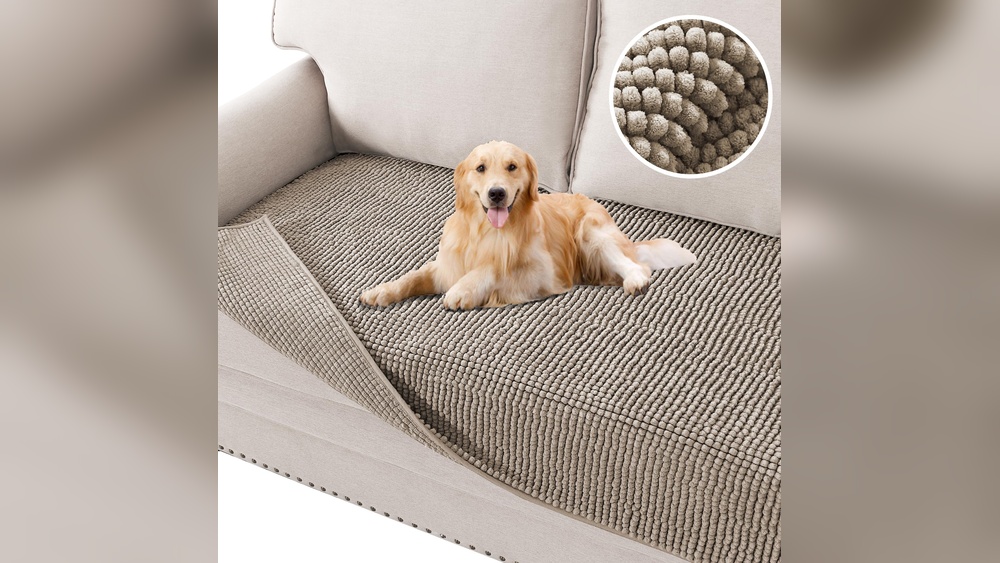 Best Dog Covers for Couches