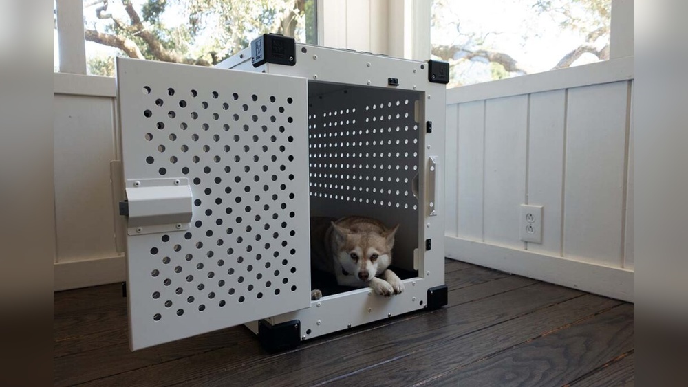 Best Dog Crates for Anxious Dogs