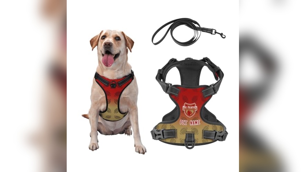 Best Dog Daycare San Francisco