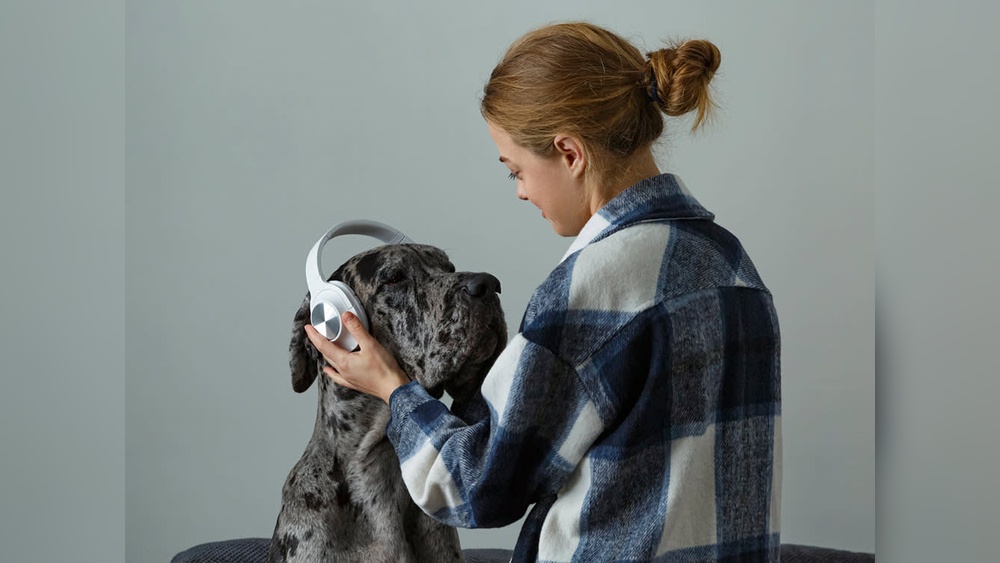 Best Dog Ear Muffs for Noise