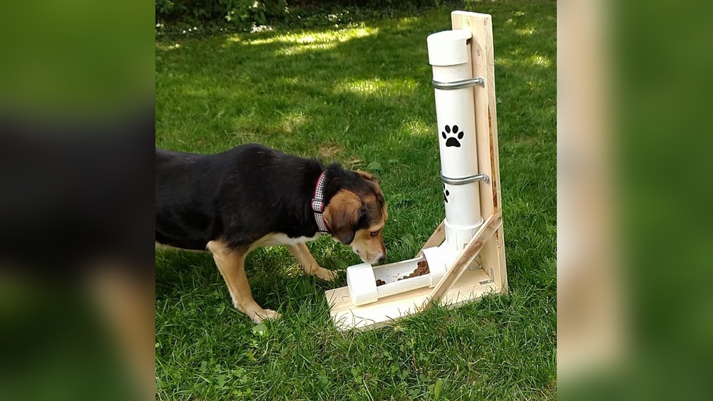 Best Dog Feeder for Large Dogs