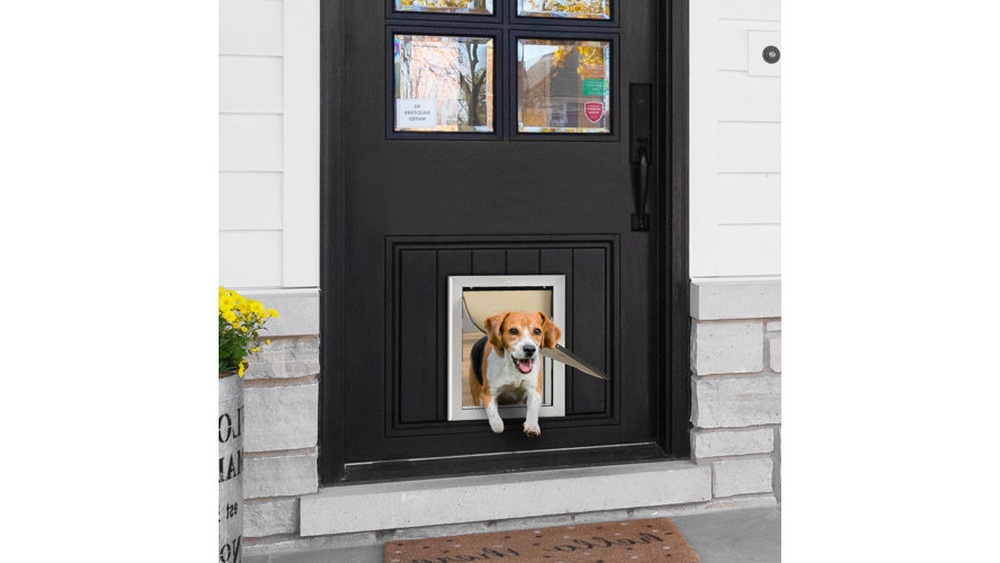 Best Dog Flap for Beagle