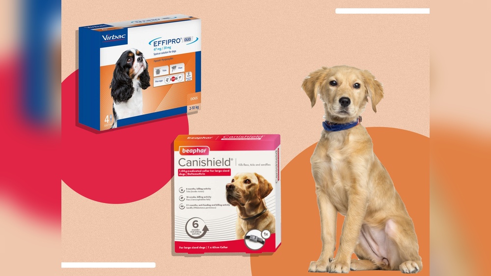 Best Dog Flea Tablets Uk