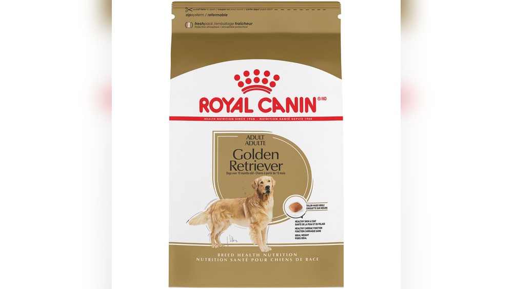 Best Dog Food for 1 Year Old Golden Retriever
