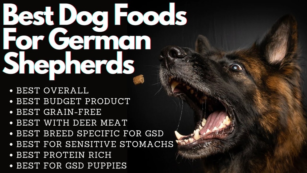 Best Dog Food for a German Shepherd Puppy
