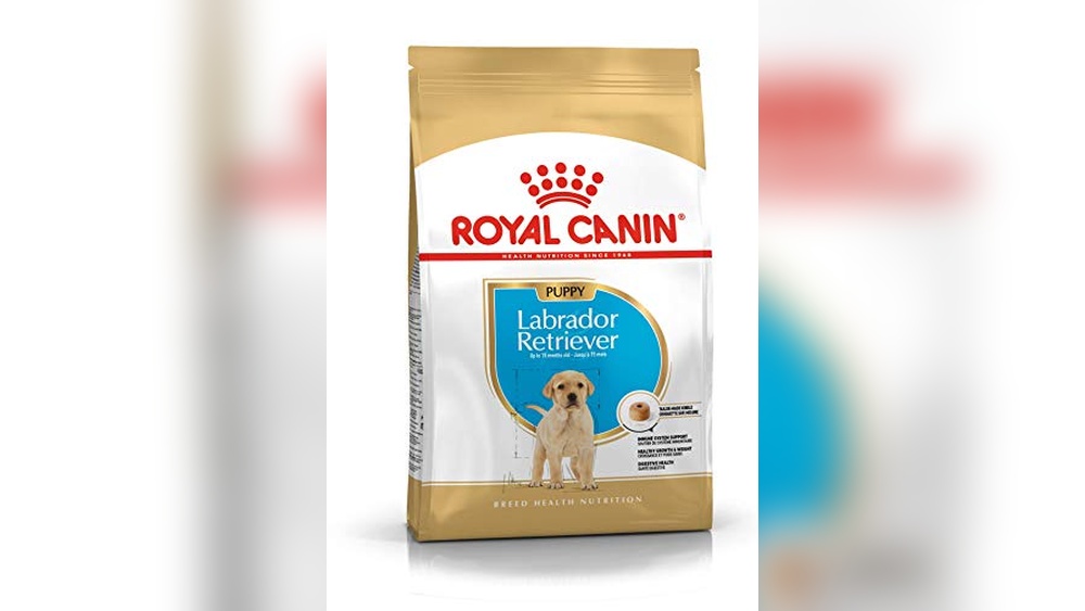 Best Dog Food for a Lab Puppy