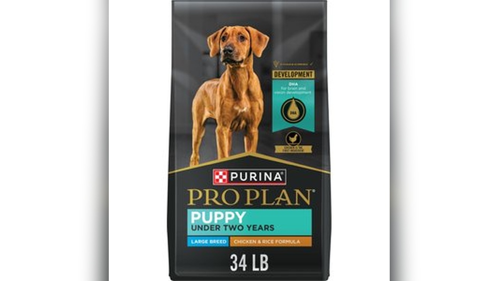 Best Dog Food for a Lab Puppy