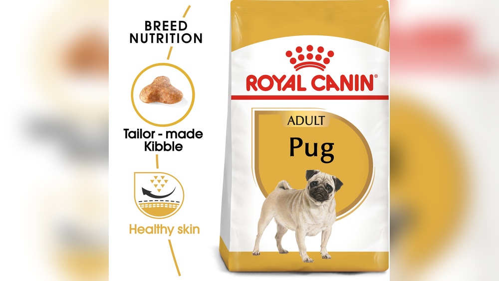 Best Dog Food for a Pug