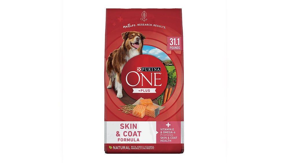 Best Dog Food for Allergy Prone Dogs: Top Hypoallergenic Picks