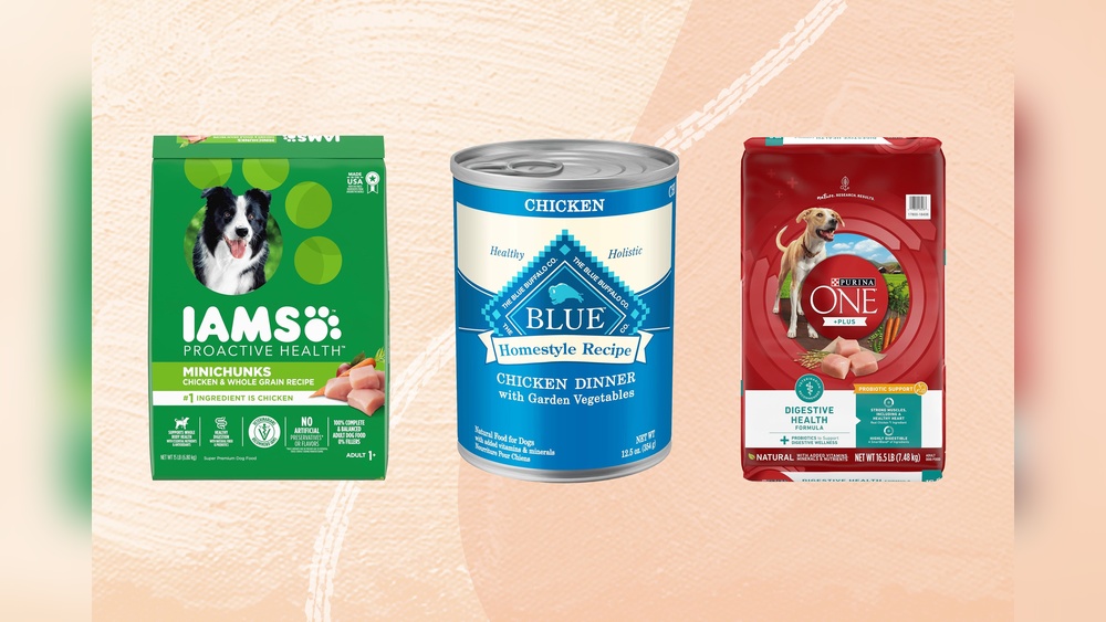 Best Dog Food for Budget