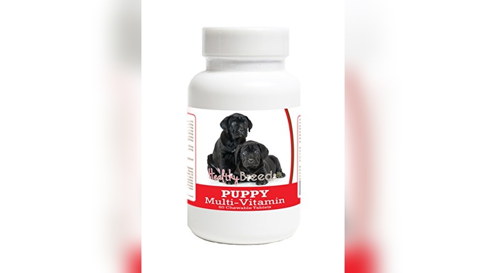 Best Dog Food for Cane Corso Puppies