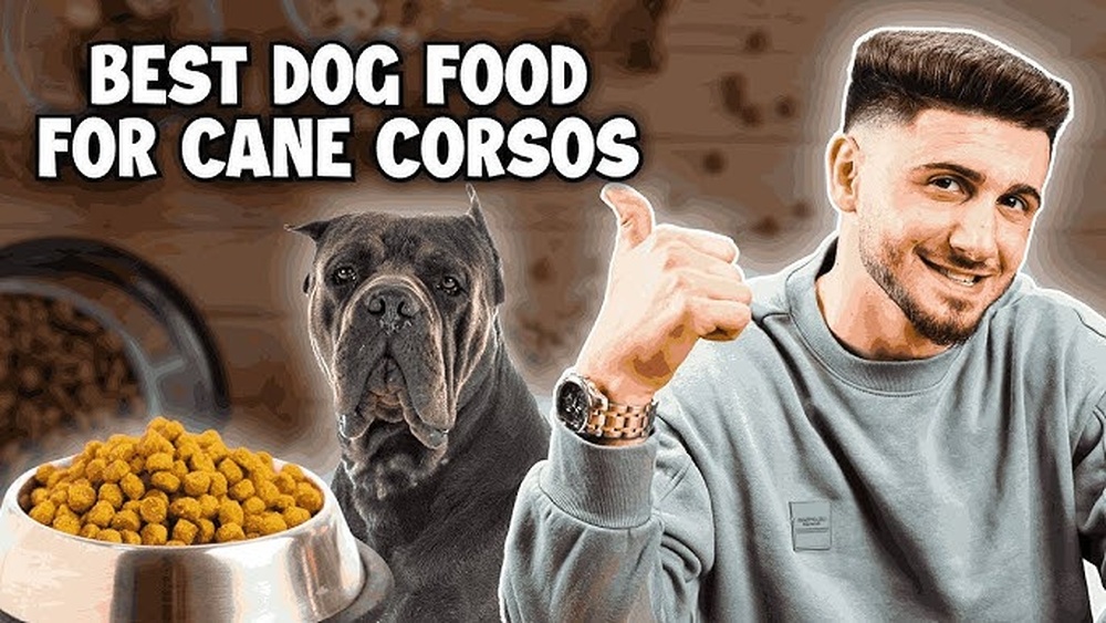 Best Dog Food for Cane Corso Puppies