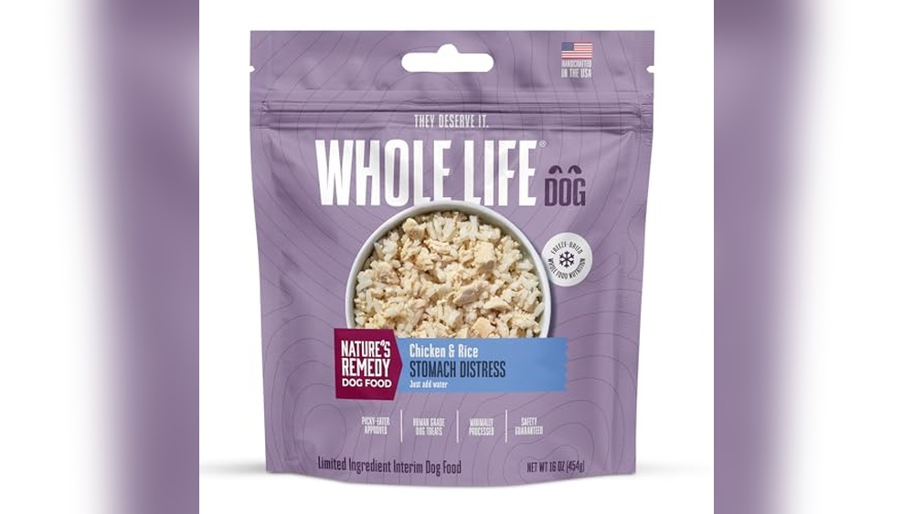 Best Dog Food for Dogs That Vomit Bile