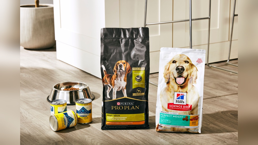 Best Dog Food for Dogs to Lose Weight
