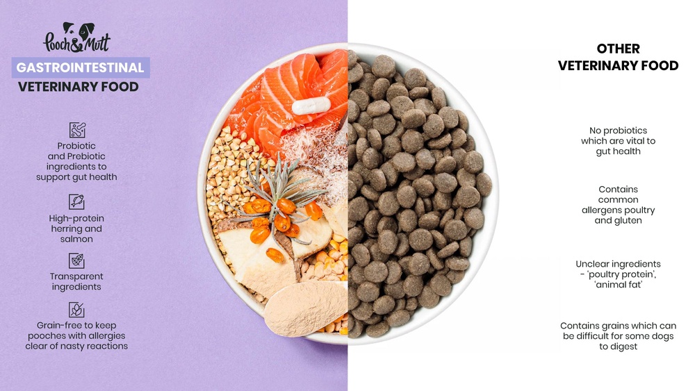 Best Dog Food for Dogs With Gastrointestinal Problems