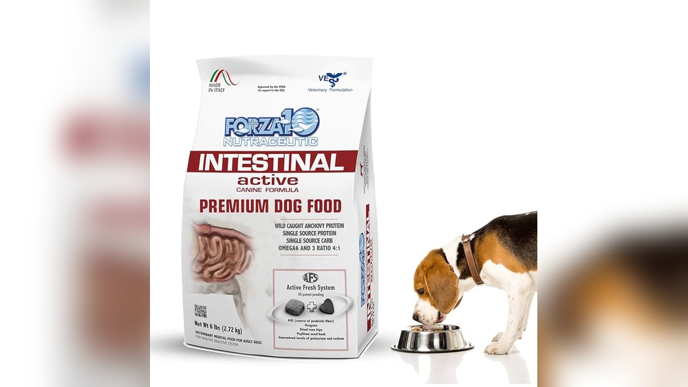 Best Dog Food for Dogs With Intestinal Problems