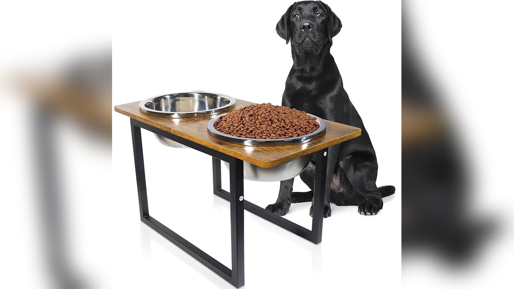 Best Dog Food for Extra Large Breeds