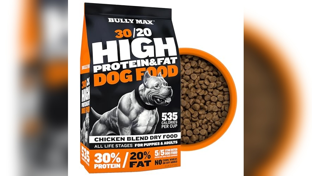 Best Dog Food for Gassy Pitbulls