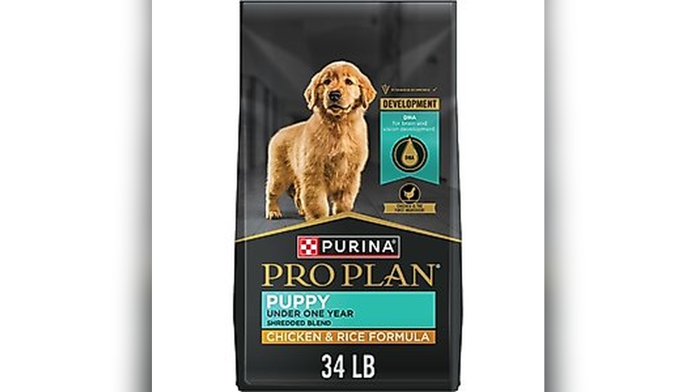 Best Dog Food for Golden Doodle Puppies