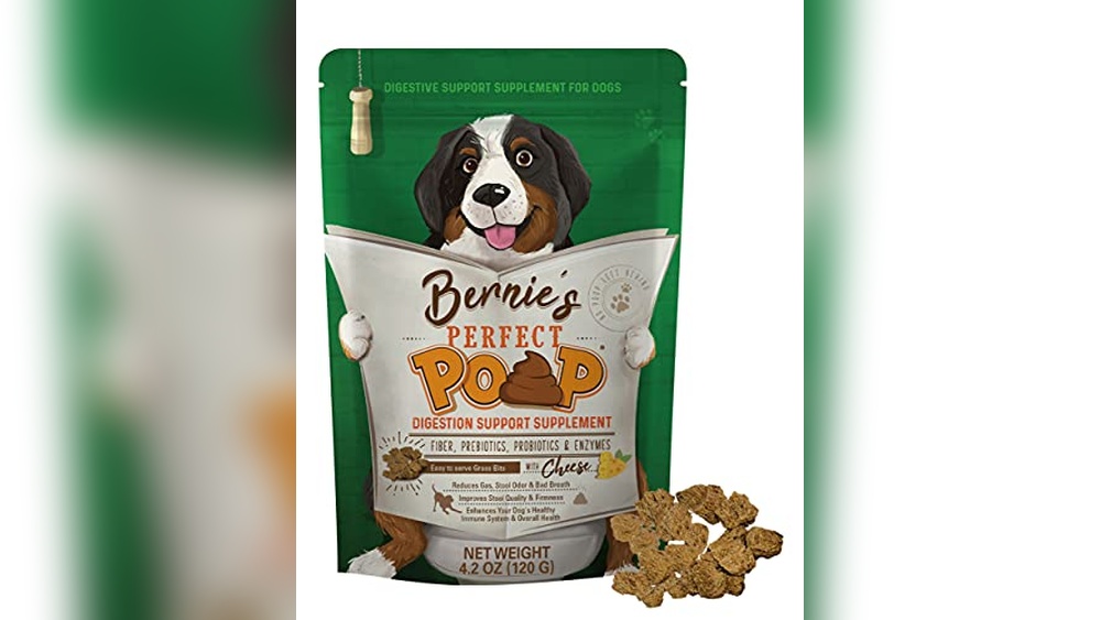 Best Dog Food for Hard Poop