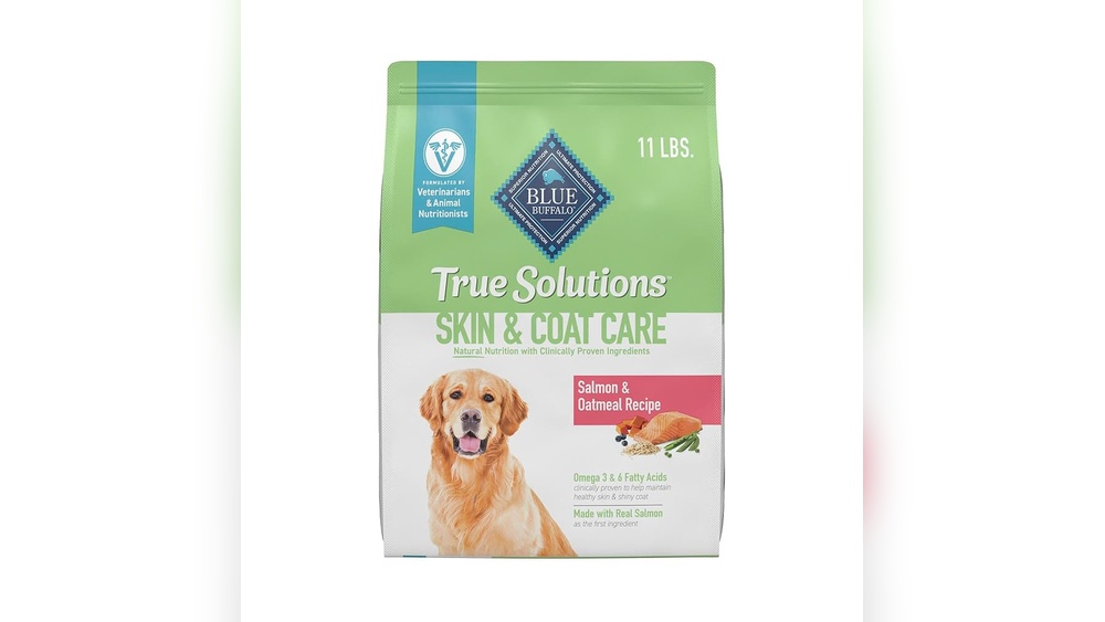 Best Dog Food for Healthy Skin: Top Picks for a Shiny Coat