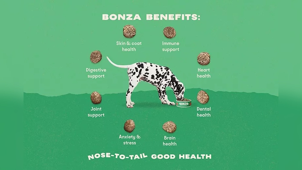 Best Dog Food for Inflammation
