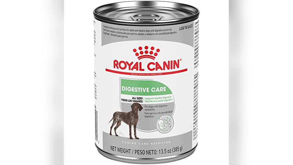 Best Dog Food for Intestinal Issues
