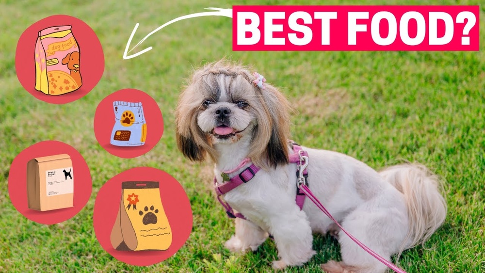 Best Dog Food for Itchy Shih Tzu