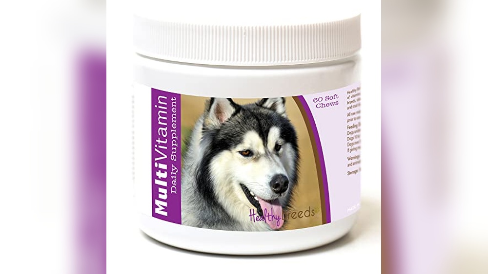 Best Dog Food for Lab Husky Mix