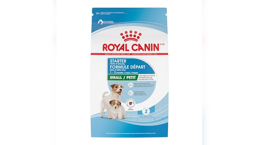 Best Dog Food for Nursing Moms