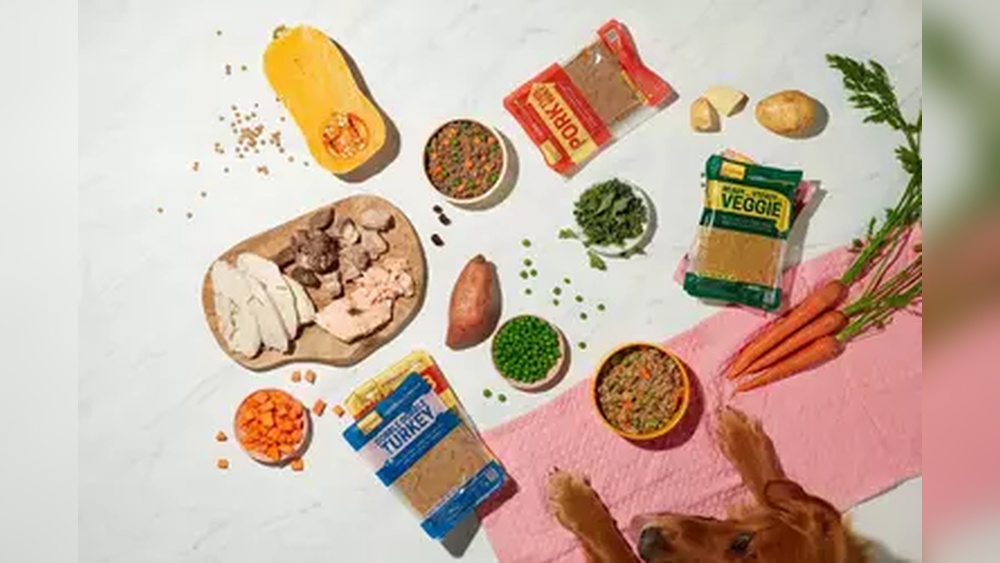 Best Dog Food for Nursing Moms