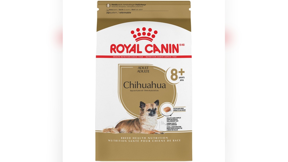 Best Dog Food for Older Chihuahua