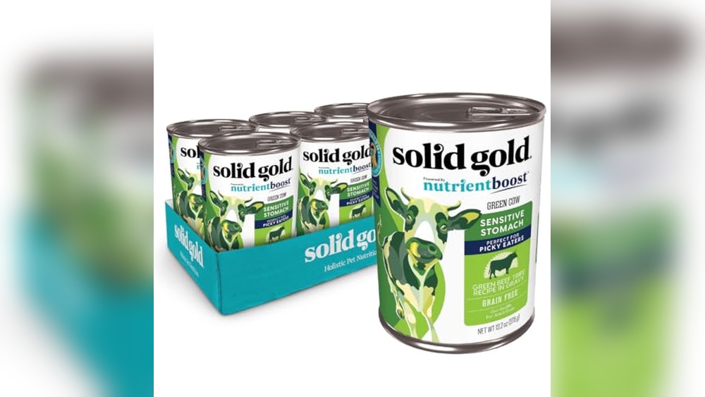 Best Dog Food for Picky Eaters With Sensitive Stomach