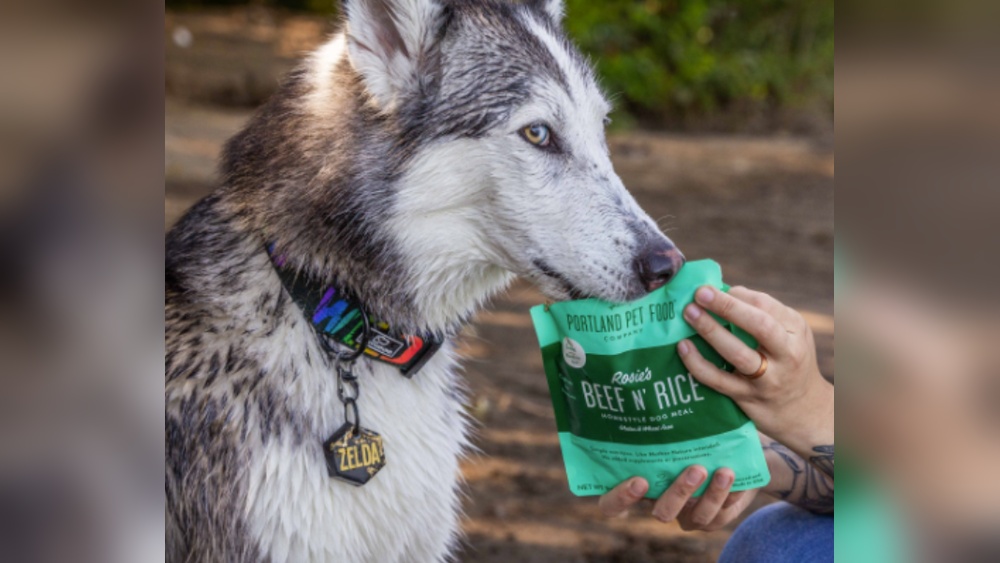 Best Dog Food for Picky Eaters With Sensitive Stomach